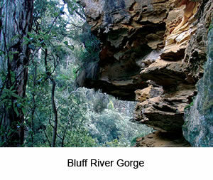 Bluff River Gorge - Tasmanian Wilderness Experiences