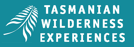 Tasmanian Wilderness Experiences
